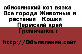 абиссинский кот вязка - Все города Животные и растения » Кошки   . Пермский край,Гремячинск г.